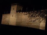 DSCF7452