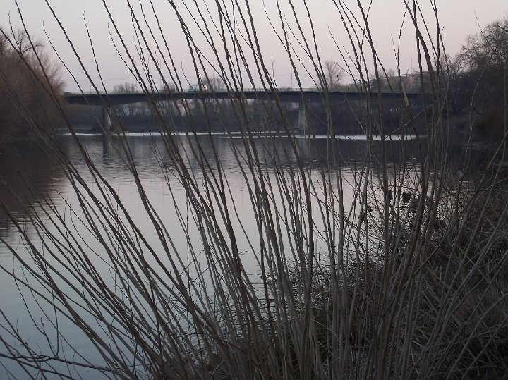 DSCF7609