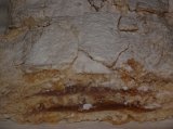 DSCF7710