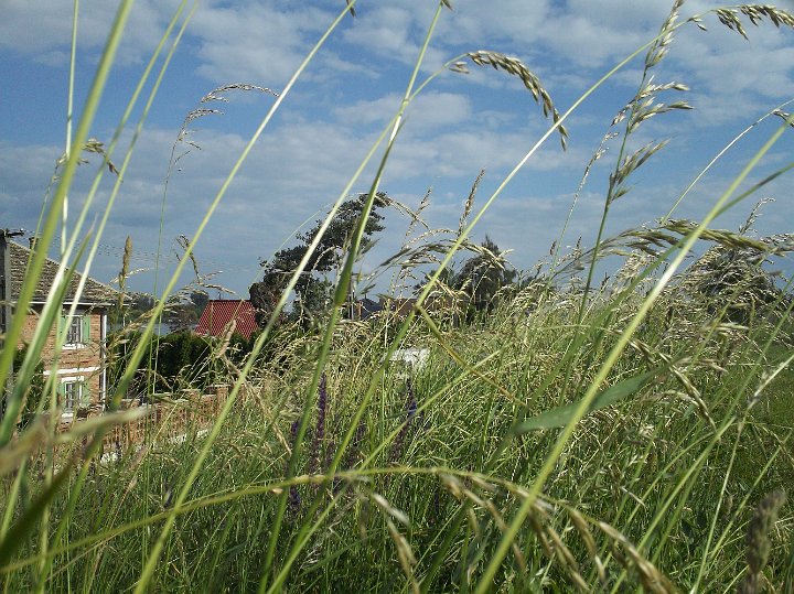 20120525-26-19