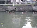 20120801kajak-25