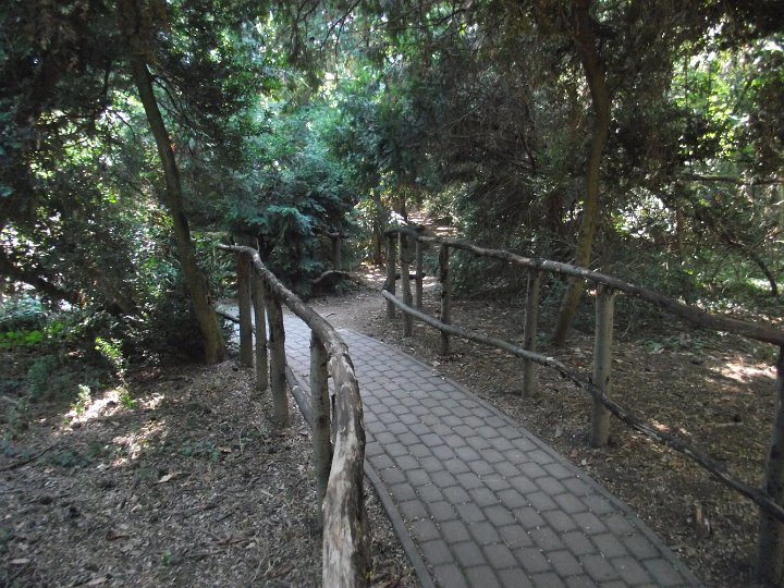 20120908-009