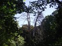 20120908-027