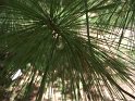 20120908-028