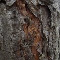 20110702-20