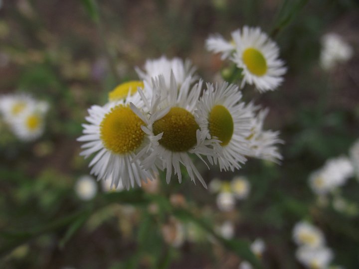20110703-046