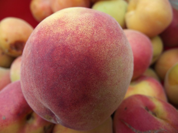 20110703-086