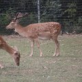 20110703-005