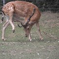 20110703-007