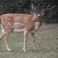 20110703-008