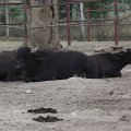 20110703-013