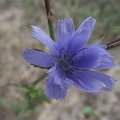 20110703-048