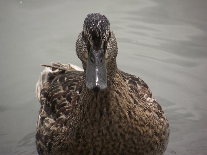 20110704-23