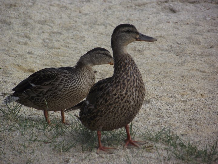20110704-67