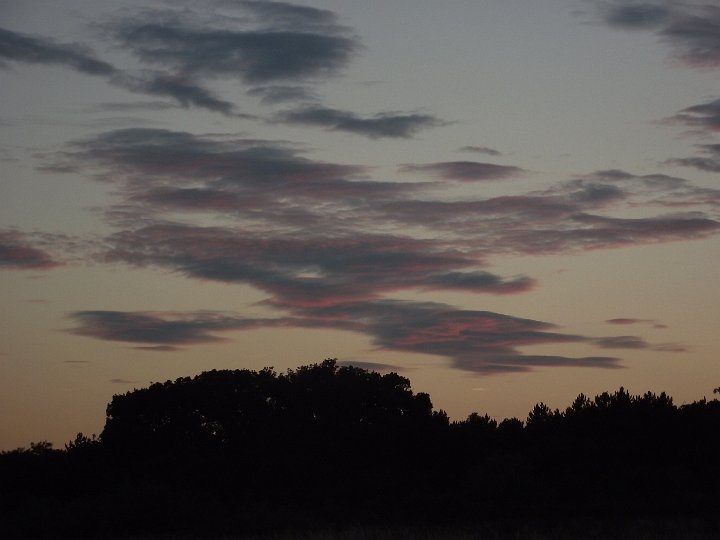 20110704-84