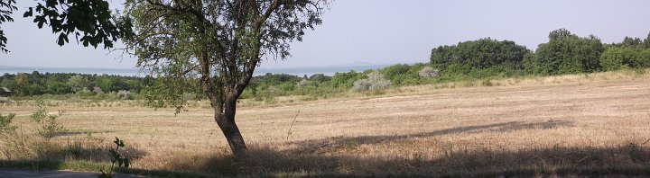 20110710-10